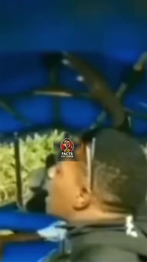 Facts lecturer🤣 (@factslecturer)’s videos with original sound - Facts lecturer🤣