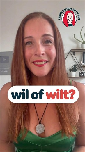 Most Dutch learners get this verb WRONG!