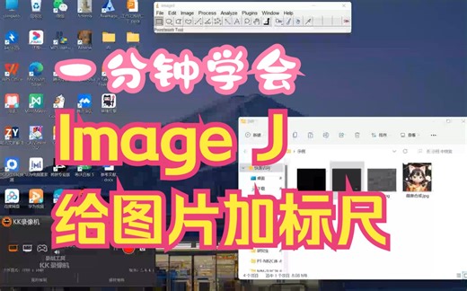 一分钟学会 | 用imageJ给图片加标尺（自用记录）