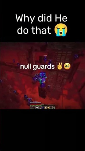 What was Null soldier doing 🥹✌️ Minecraft Unstable Smp #shorts #memes