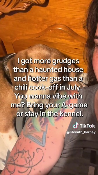 Barney the Beagle: A Barking Sensation