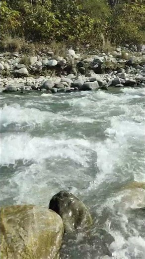 Kosi River Flow in Jim Corbett National Park #IndianRivers #RiverMystery