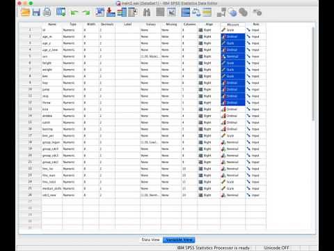 Change type of scale in SPSS