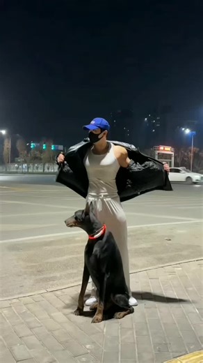 Unleash Your Dog's Fitness Potential!