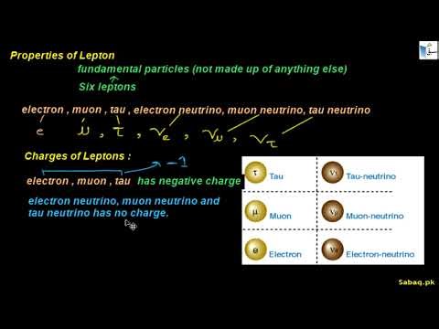Classification of Particles: Leptons and Hadrons