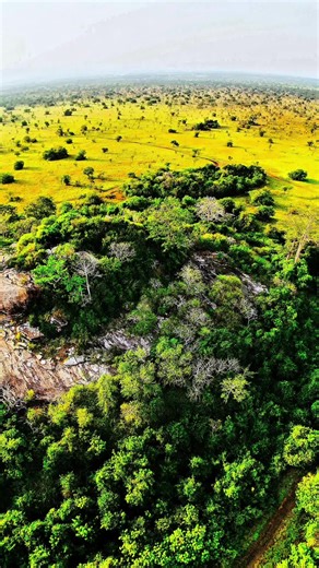 Mogo Hills, Ghana offers scenic views, caves, wildlife (monkeys, birds), and opportunities for hiking, adventure, and rock climbing #ghanatiktok #hiking #adventure #explore #followme