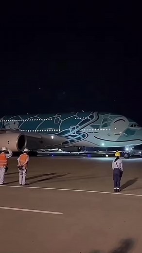 ANA inspiration Japan🇯🇵airbus A380🥰🤗