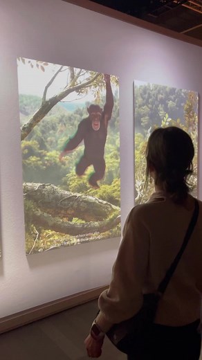 3.1K views · 18 reactions | Becoming Jane: The Evolution of Dr. Jane...