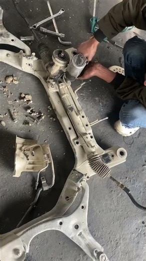 Rio ka staring Rack noise 😎