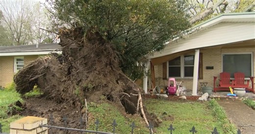 Damage reported in Acadia and St. Landry parishes after powerful storms move through Acadiana