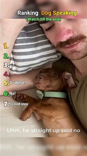 Ranking Dog Speaking