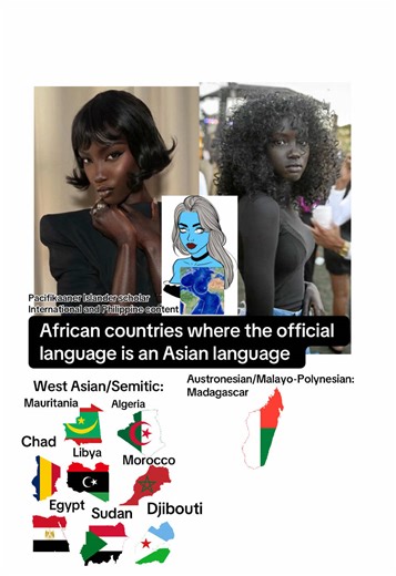 African countries where the official language is an Asian language #geography #map #maps #mapper #mapping