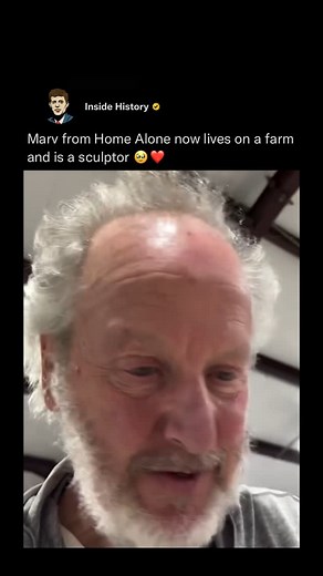 Inside History on Instagram: "Daniel Stern, the actor who famously played Marv in Home Alone, is now a sculptor who lives on a farm — channeling his creative energy into making sculptures that reflect his comedic yet dynamic acting style, just like his film role! 🥹❤️ (Via: @realdanielstern)"