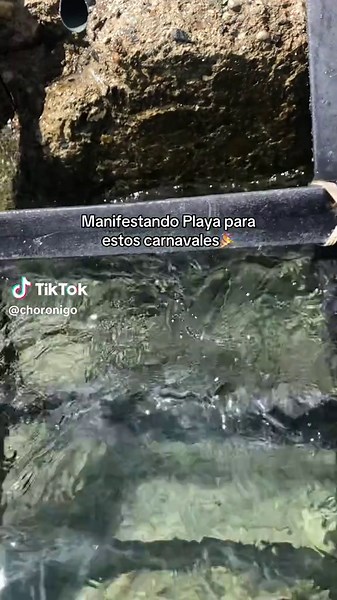 Carnaval 2025 en Playa: Celebrando con Tambor Venezolano