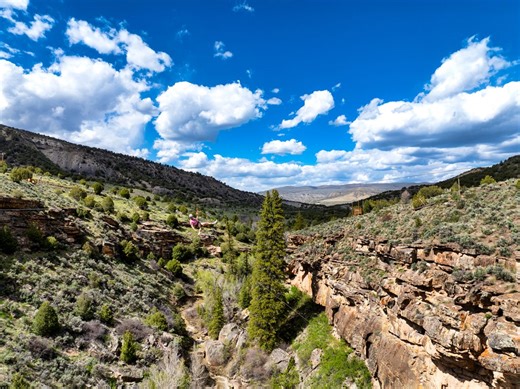Zip-lining in the Rocky Mountains offers a thrilling, up-close adventure