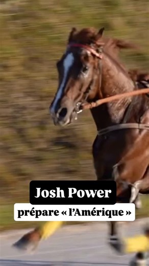 Equidia on Instagram: "⚙️ Les derniers réglages de Josh Power 💥 Lauréat du Prix de Bretagne - Amérique Races Q1 mi-novembre, le champion de Sébastien Ernault rêve de briller dans « l’Amérique », ce dimanche à Vincennes 🇺🇸 #courseshippiques #trot #meeting #vincennes #amerique"