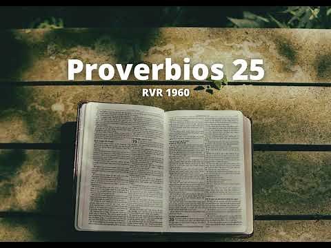 Proverbios 25 - Reina Valera 1960 (Biblia en audio)