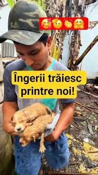 Se pare că îngerii trăiesc și pe pământ! | It seems that angels also live on earth!
