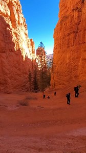 The stunning views of Bryce Canyon National Park. Hike details: https://thenatureseeker.com/how-to-hike-through-bryce-canyon-national-park-in-one-day/ | The Nature Seeker