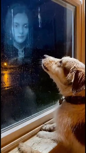 Invisible Ghost Reflected in the Glass! 😱 #fyp #scary #creepy #ftp #bhfyp #fyp シ#fypage #fypシ #creepypasta #fyppage #creepyart #creepycute #fyptikt #scary #horror #halloween #creepy #spooky | CreepyZone