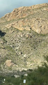 Beautiful Sonoran Desert in Arizona #Arizona #tucson #fblifestyle | Spotted In Tucson