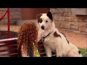 Disney Channel - Hund mit Blog - Hundegedanken - Folge 2