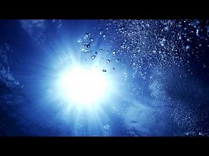 Bassnectar - Underwater