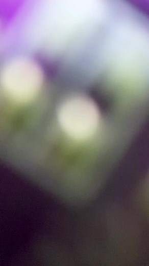 Oxxy Custom on TikTok