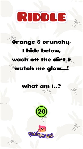 Riddles | Riddles with answers | Riddles in english | The Logic Twist