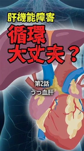 肝機能障害。循環、大丈夫？② うっ血肝 #うっ血肝 #心不全 #FALD #フォンタン手術 #肝機能障害 #循環不全 #消化器内科 #循環器 #医学解説 #shorts