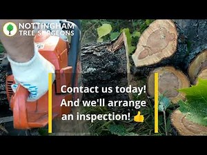 Tree removal Nottingham Tree Surgeons