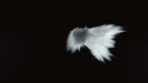 Water Blast Explosion in slow motion