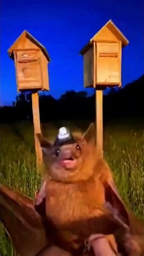 Welcome To My Cave 🦇