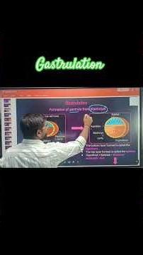 Gastrulation #youtubeshorts #trendingshorts #viralvideos #shortvideos #shorts #trending