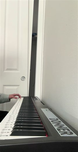 Beethoven Virus reupload cuz TikTok took down the sound on the last one 😜 #piano #beethoven #virus #beethovenvirus #pianotok