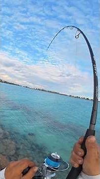 🔥 I Was Testing My Prototype… Then Something Hit Instantly