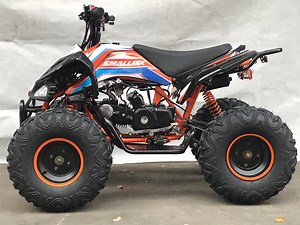 [Hot Item] Dune Buggy 110cc Quad/125cc Motorcycle ATV with Raymon