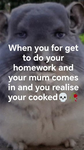 When you forget to do your homework #adriensound