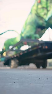 Rest assured, Iggy received a clean bill of health from our Vet Team before he returned to his post atop the animal hospital this week! (This is the same exam that our team completes on iguanas before we release them back into the wild!) 🦎💚 | Fort Worth Zoo