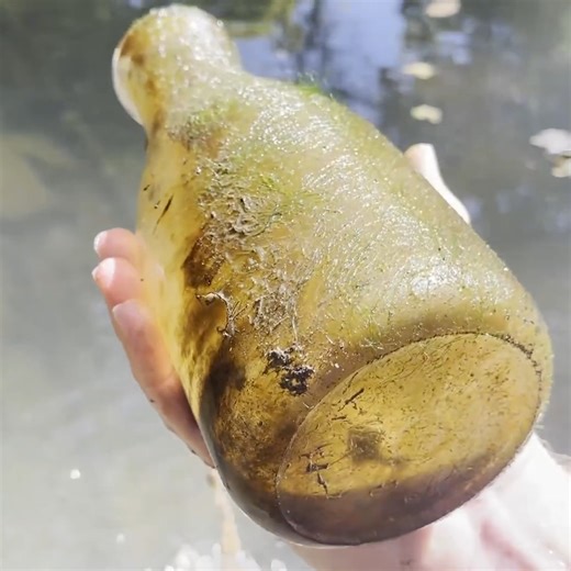 We Made A Mind-blowing Find! 🤯 | Adventure Archaeology And Southern Diggers