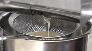 Making natural vegetable oil from sunflower seeds at home. Completely natural products.