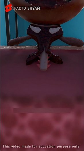 Shocking Truth About Blood-Sucking Ticks: Explained in 3D Animation #shorts #animation