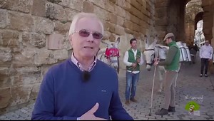 30K views · 504 reactions | VÍDEO || Burros de toda Andalucía se dan cita en un emotivo paseo por las calles de #Carmona. Viviendo un auténtico viaje al pasado que nos permite revivir la vida del #burro andaluz en siglos pasados, cuando estos animales eran indispensables para el trabajo y la vida cotidiana. #ElQuincenal TV - La Televisión de #LosPedroches | El Quincenal de Los Pedroches | Facebook