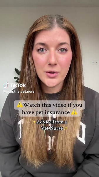 Understanding Pet Insurance: Key Insights for Owners