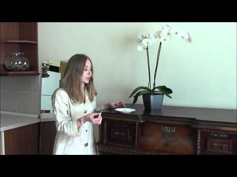 Oriental rugs: Buying guide