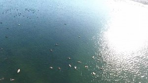 The Geneva Shore Report Drone takes flight over Lake Geneva Ice and proves to be an amazing display of geometric patterns and shapes. Please forgive the lack of commentary but I believe the sight was so interesting that the images were enough to fill the composition. Look closely and you will see two people far out on the ice west of the Rivera docks. | The Geneva Shore Report