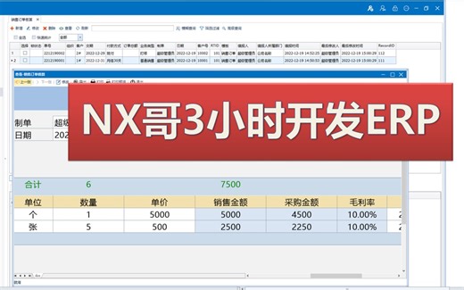 NX哥3小时开发ERP