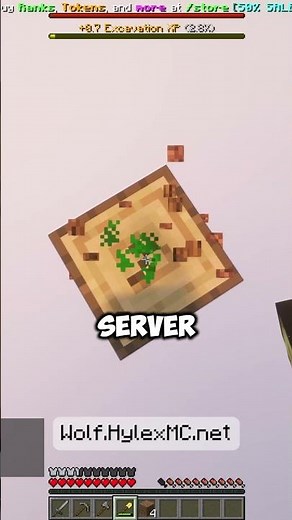 TLauncher Players, Join the Best OneBlock Survival Worlds!