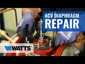 ACV Diaphragm Repair