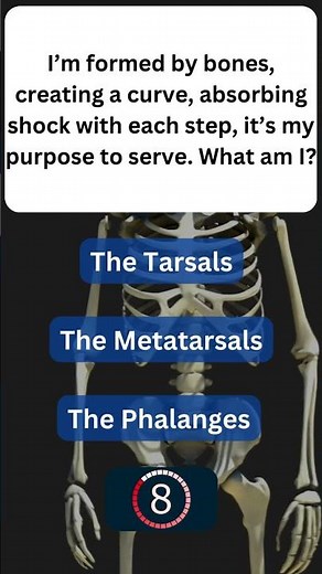 Fun Fact About Your Bones! 🦴 #SkeletalSystem 44